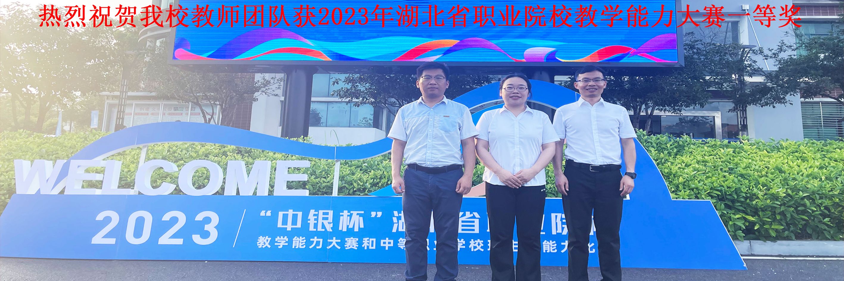 教學(xué)能力省級(jí)一等獎(jiǎng)