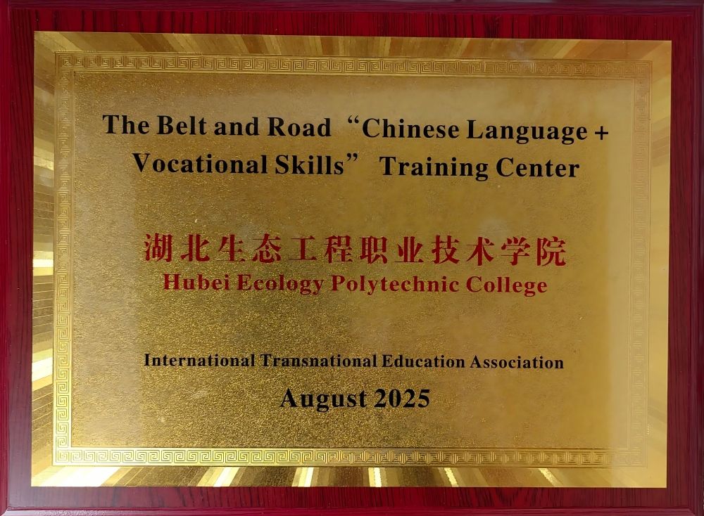 1756255898663131.jpg 1.jpg